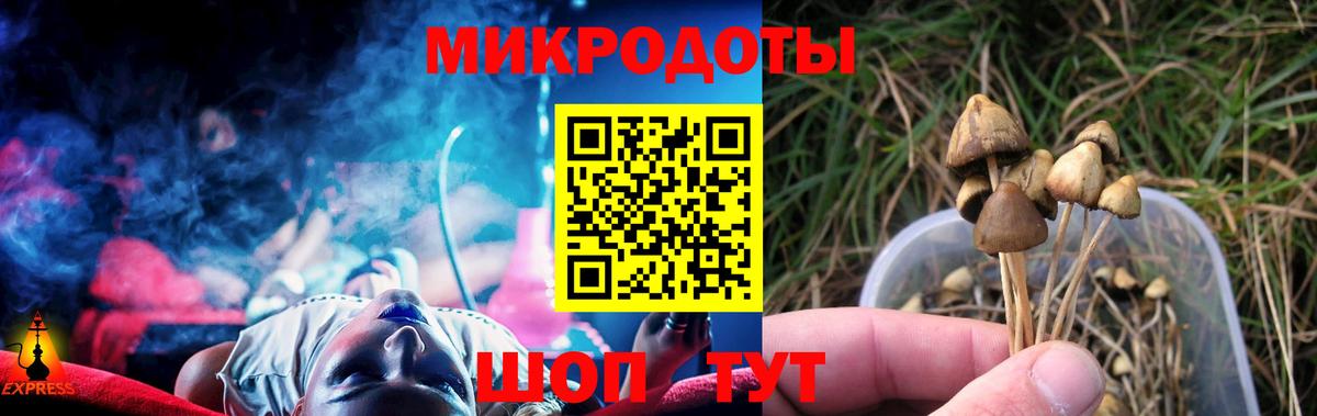Белорецк  Псилоцибиновые грибы Psilocybe  Галлюциногенные грибы мухоморы  закладки  Вход с VPN 